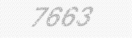 Visual security code — type the characters shown in the image